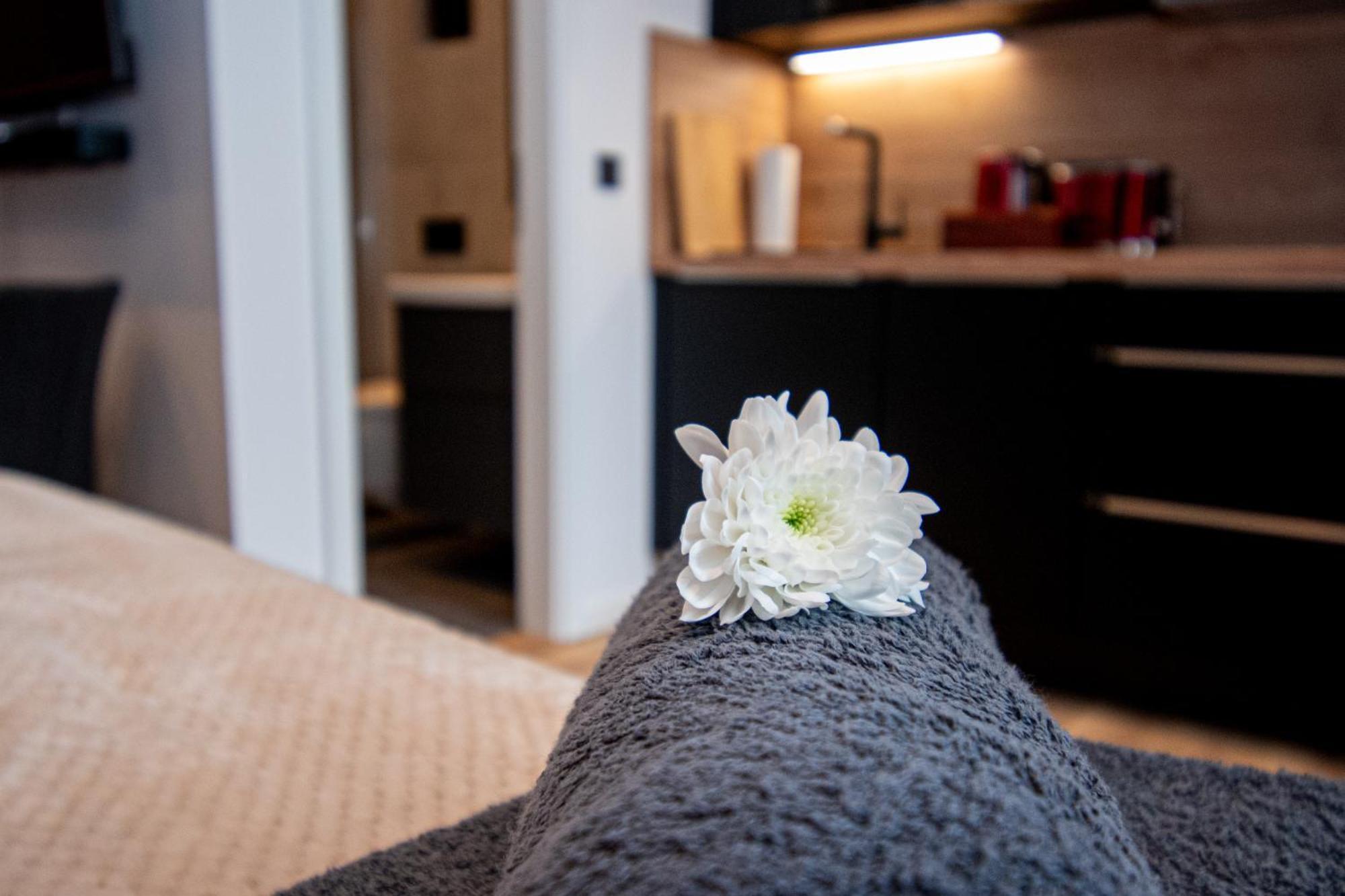 Sweethome - Zentral - Kueche & Parkplatz, Wifi Halle (Saale) Exterior foto